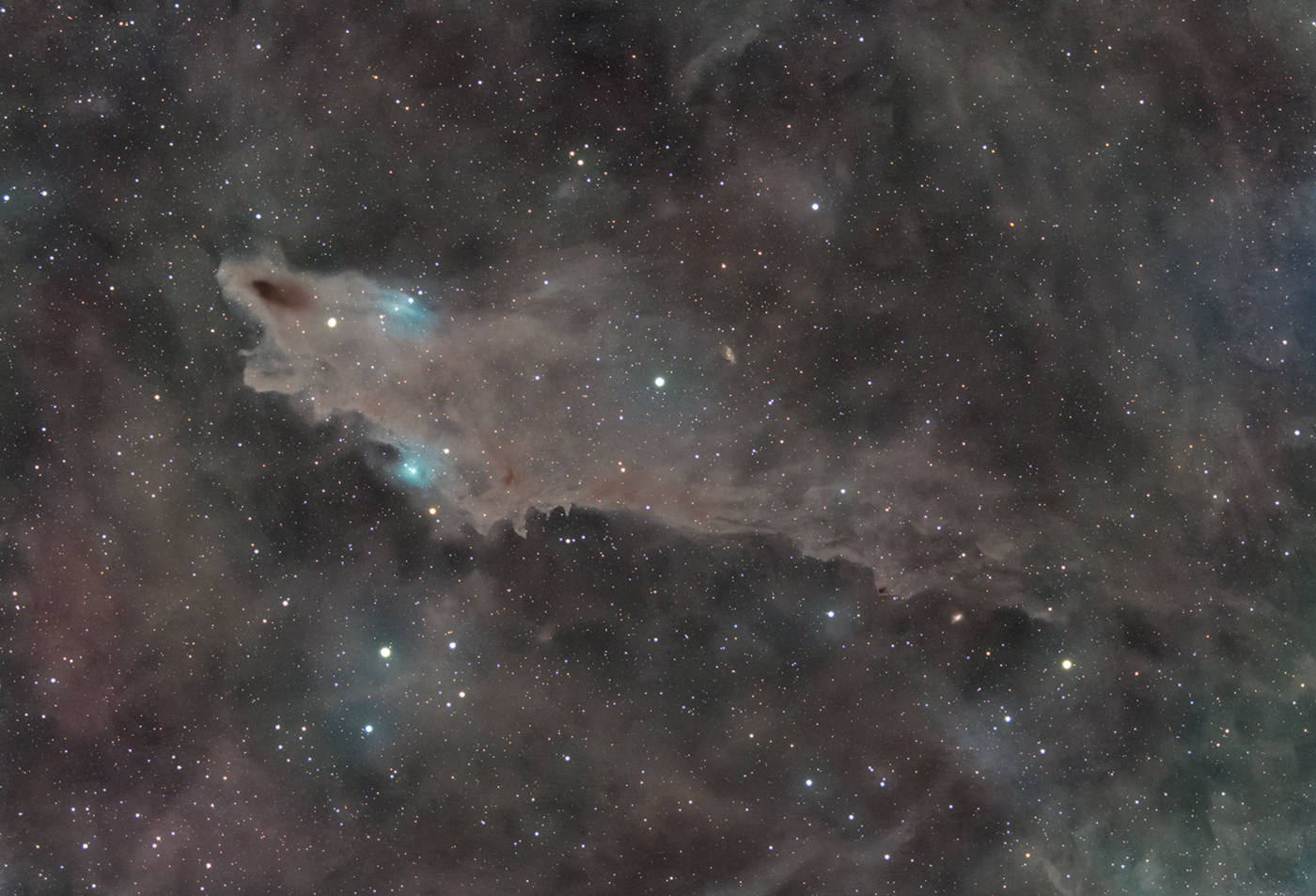Dark Shark Nebula - LDN 1235 & Expo PGC 67671
