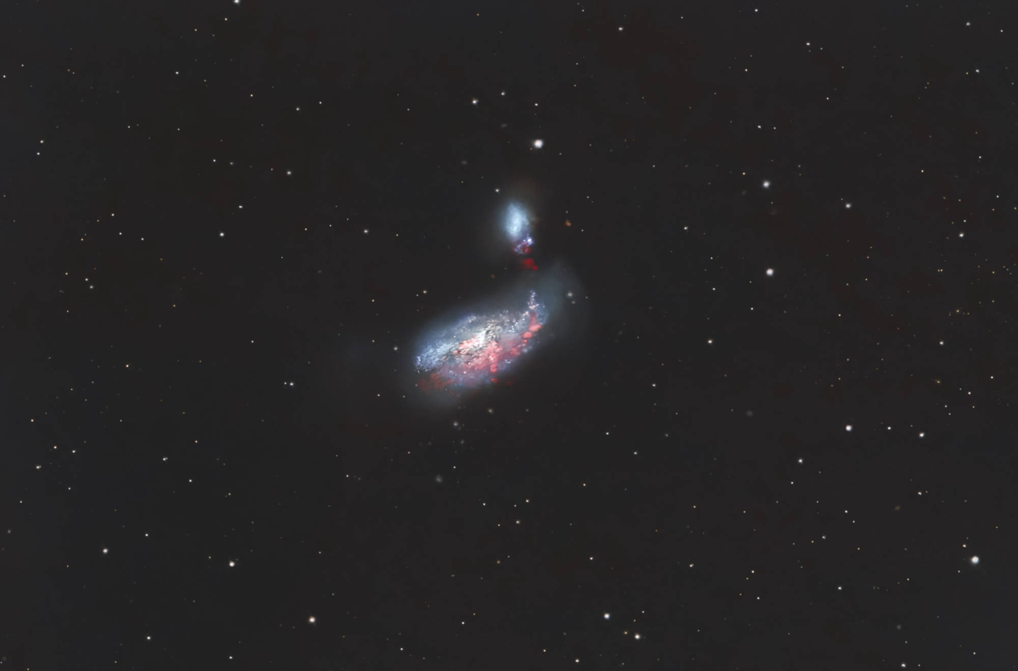 NGC 4490 - Cocoon Galaxy