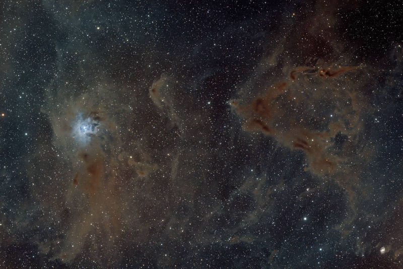 Iris Nebula - NGC 7023