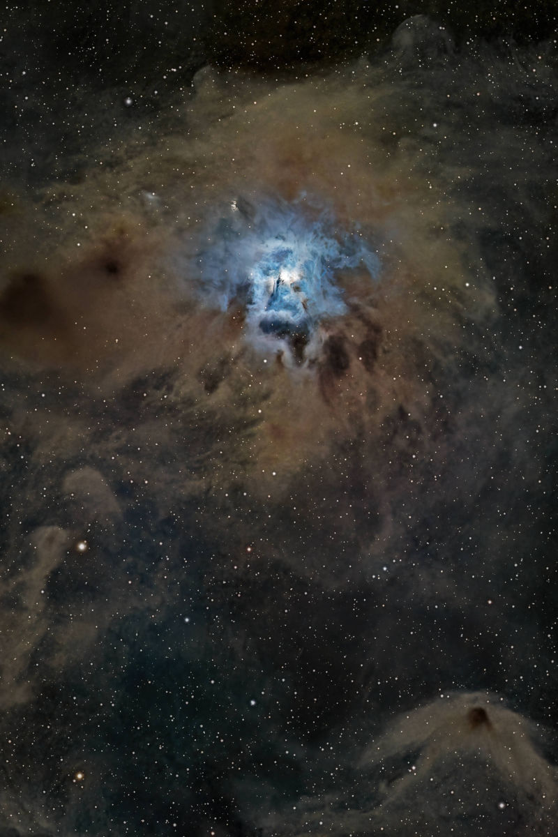 Iris Nebula - NGC 7023